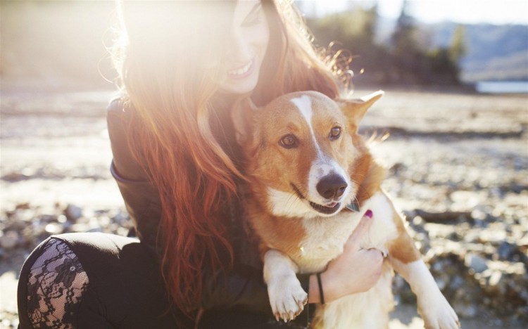 养大型犬原来对女生有这么多好处