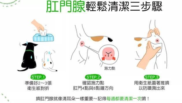 宠物店不会告诉你的洗澡秘诀在家也能洗出靓仔造型